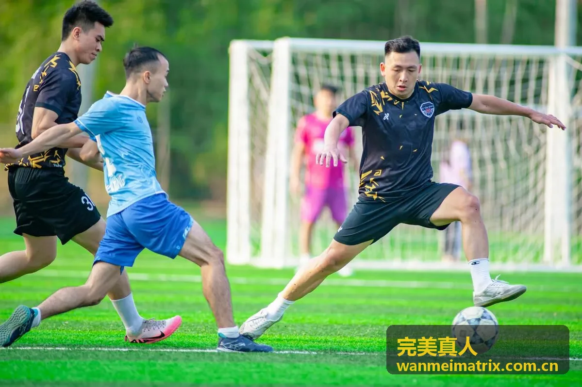 完美真人线下社群活动中的参与者交流